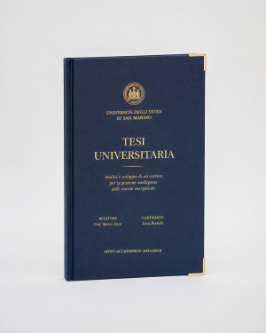 Tesi Universitarie